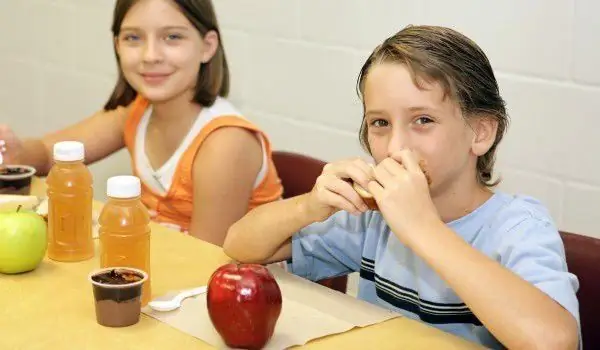 Quelles Sont Les Nouvelles Règles Pour L'alimentation Dans Les Jardins D'enfants