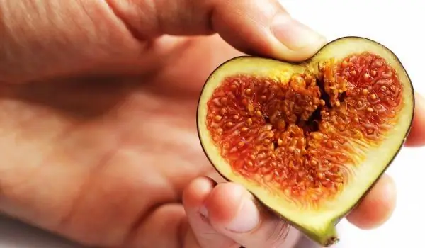 Mengapa Buah Ara Disebut Penyembuh Menggairahkan?