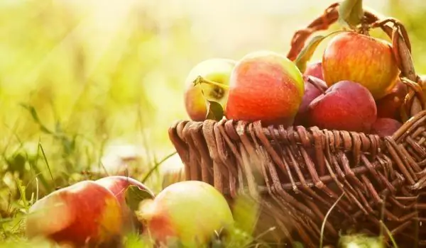 The Most Popular Varieties Of Apples