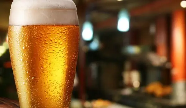 ¿Qué Contiene La Cerveza Autóctona Y Cómo Reconocer La Cerveza De Calidad?