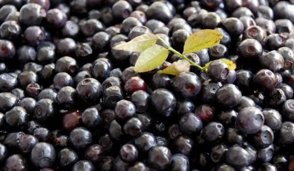 Blackberries - The Most Powerful Antioxidant