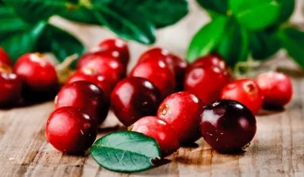 Cranberry Adalah Antioksidan Yang Kuat