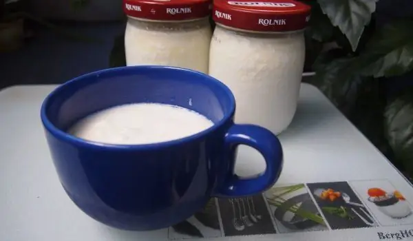 Keju Dan Yogurt Buatan Sendiri Dengan Cepat Dan Mudah Untuk Pemula Di Dapur