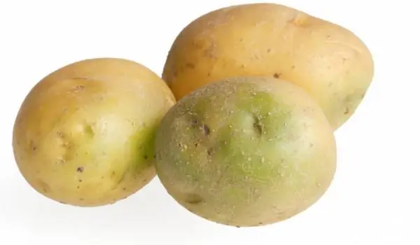 That's Why You Should Never Eat Green Potatoes