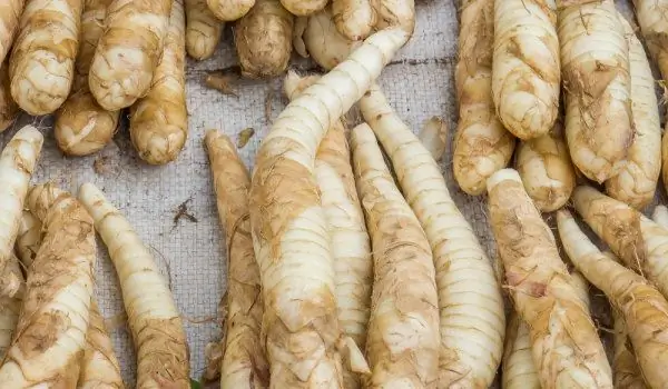 Recepti S Makaronima Koje Svako Može Pripremiti Recepti S Makaronima Koje Svako Može Pripremiti