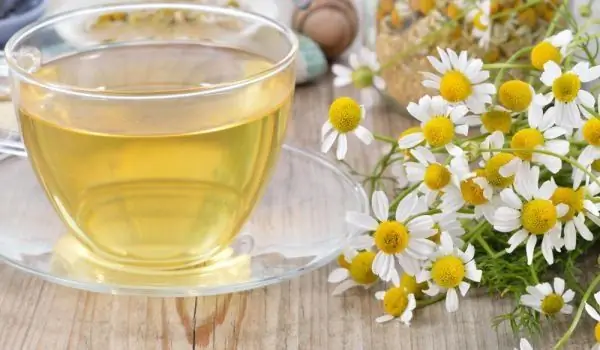 Chamomile: Ib Qho Tshuaj Ntsuab Muaj Txiaj Ntsig Nrog Rau Daim Ntawv Thov Thoob Ntiaj Teb