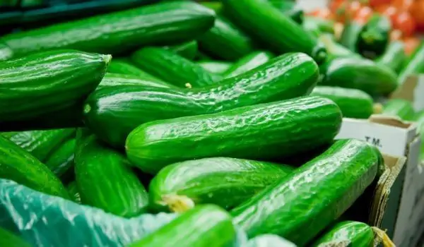 Gurken Von Geringer Qualität überschwemmen In Diesem Frühjahr Den Markt