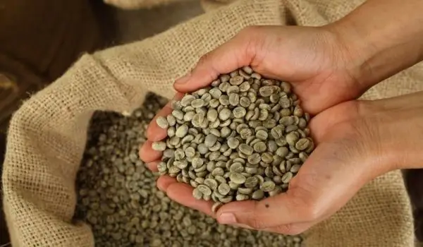 Green Coffee Beans Instead Of Green Tea