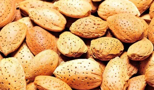 Les Amandes Et Les Légumes Verts Renforcent Les Os