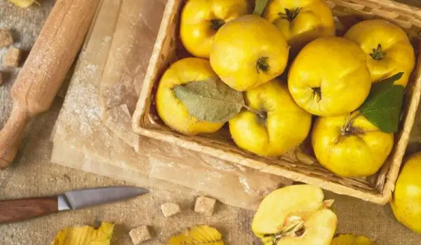 Por Que O Marmelo é Chamado De Maçã De Cobre? Razões Para Comer Com Frequência Neste Inverno