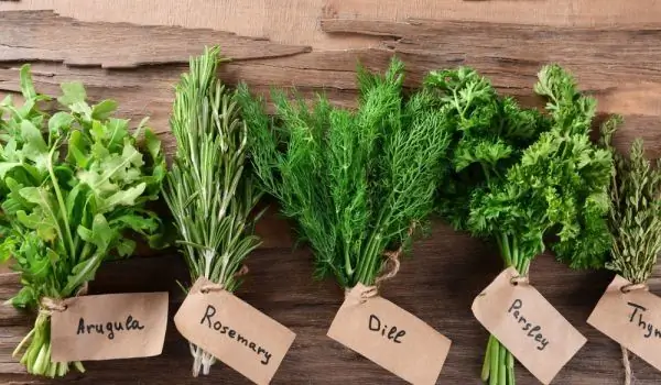 Parsley, Mint And Savory - The Quiet Healers In Our Kitchen