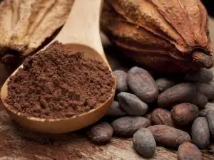 Polvo de cacao