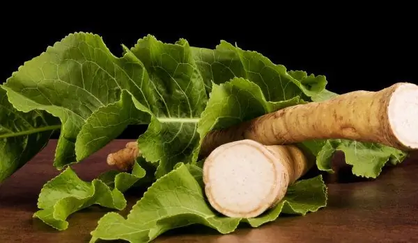 Horseradish ቅጠሎች - ሁሉም ጥቅሞች እና ጥቅሞች