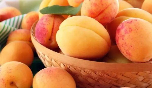 Apricots Are The Perfect Breakfast In The Summer