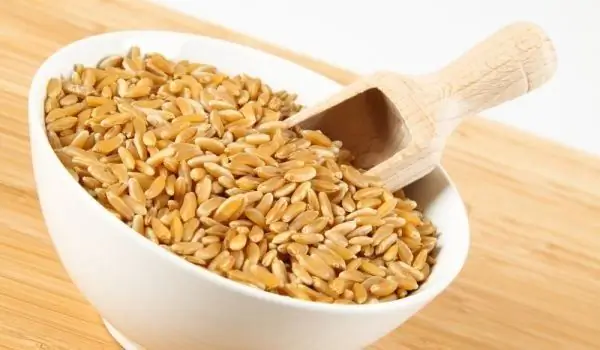 Kamut - Ancient Egyptian Wheat