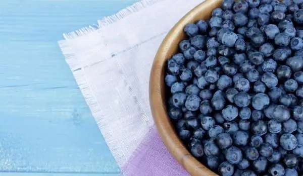 Blaubeeren: Ein Ausgezeichneter Verbündeter Gegen Eine Reihe Von Krankheiten