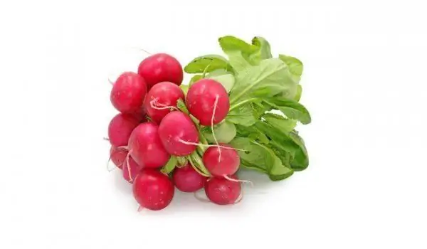 Do Not Throw Away The Radish Leaves! They Are The Most Useful