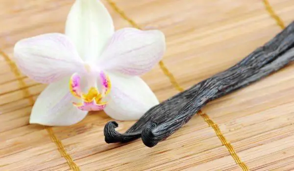 The Ancient Aztecs Used Vanilla As A Stimulant