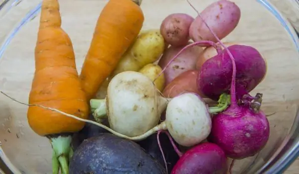 Healthy And Smart Weight Loss With Beets And Turnips