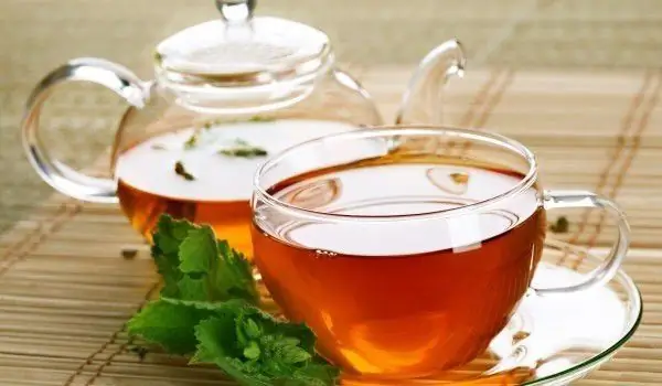 Boxwood Tea Instead Of Hemodialysis For Kidney Failure