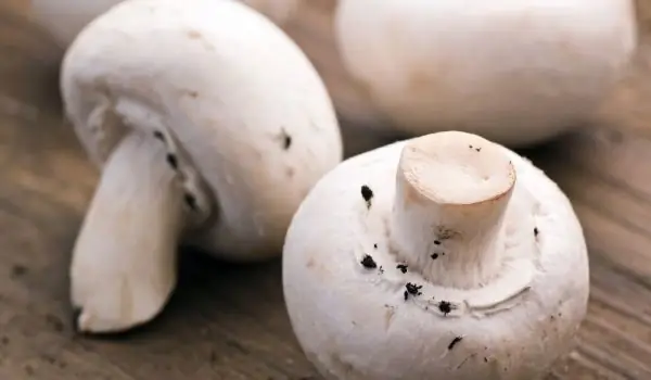 Pourquoi Les Champignons Sont Bons Pour Le Cœur