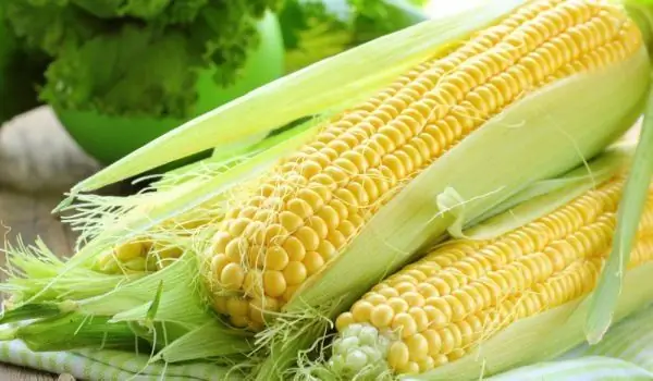 Corn Silk Melts Subcutaneous Fat Without Pain