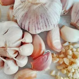 Price of garlic