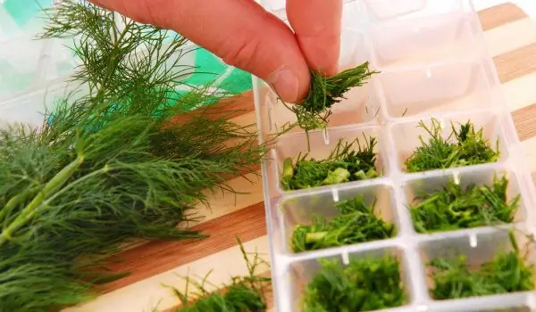 Quelques Astuces Pour Conserver Longtemps Les épices Et Les Herbes