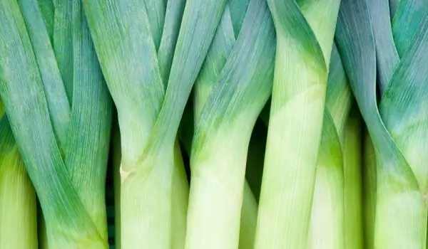 Winter Salads With Leeks - Lean And Terribly Appetizing