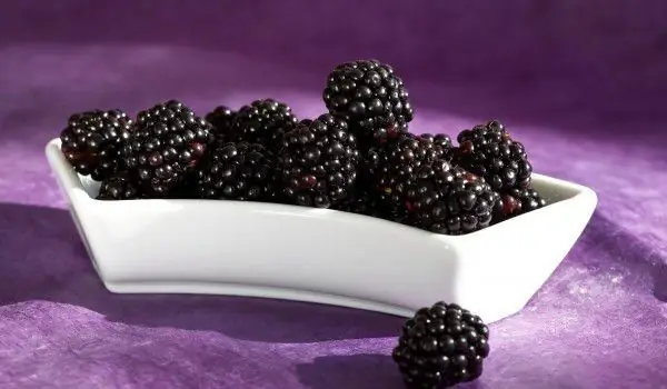 Blackberries - One Of The Most Useful Fruits