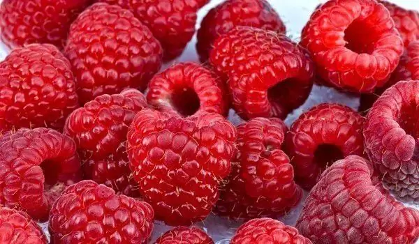 Bekukan Raspberry Di Dalam Freezer Untuk Mempertahankan Rasanya Untuk Waktu Yang Lama