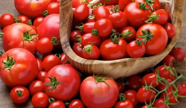 Illegal Tomatoes Flooded The Home Markets