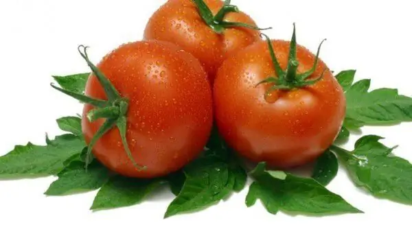 Compramos Tomates 40 Por Cento Mais Caros Em Comparação Com