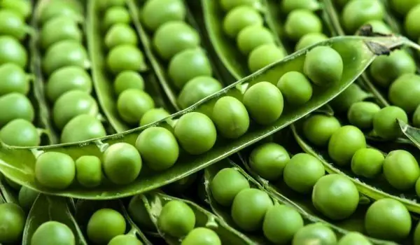 9 Vegetais Com Muita Proteína! Eles Vão Mantê-lo Cheio Por Um Longo Tempo