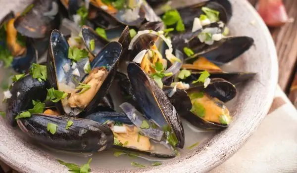 Mussels Regulate Energy Metabolism, But What Are The Risks?