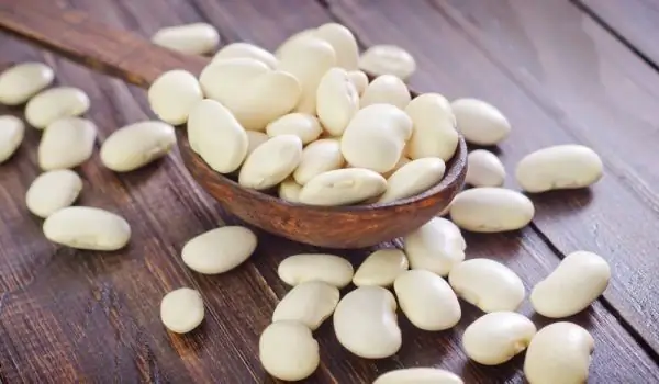 Pengeluar: Harga Kacang Tinggi Adalah Spekulasi Murni